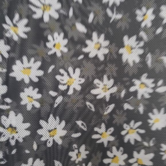 Divided sheer daisy print crop top - Picture 5 of 5